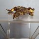 Pediment ornament gilded bronze furniture st Louis XV