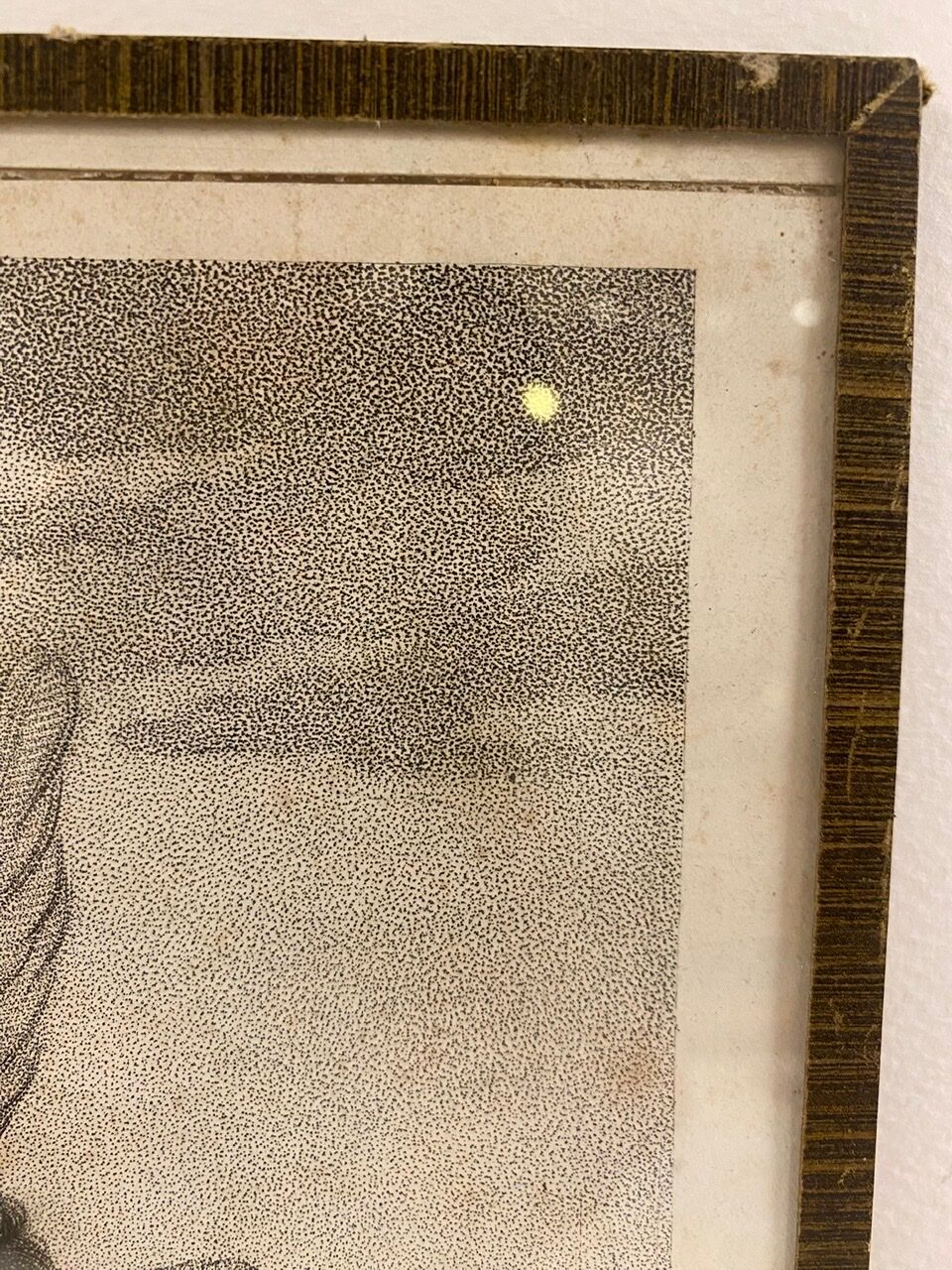 Antique print, Love and Fortune ,early XX century