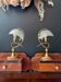 Pair of "Shell" lamps in brass - 1970.