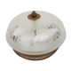 Glass globe ceiling lamp frosted pattern and brass opened frame