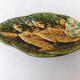 Green and yellow fruit bowl