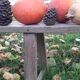Farm bench