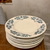8 plates iron earth