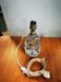 Ancienne Lampe de chevet Baccarat