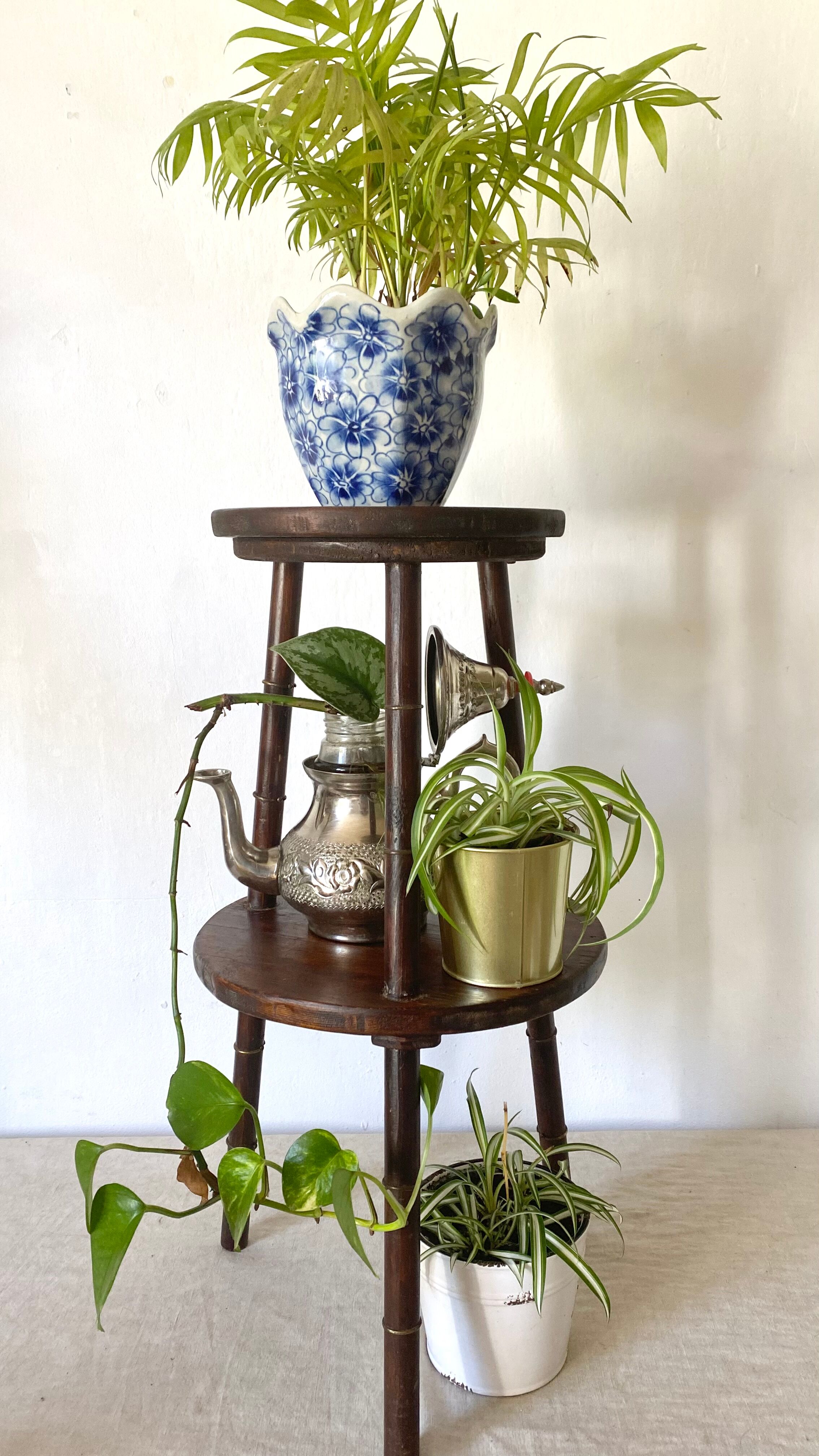 Plant holder, harness 2 trays
