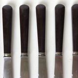 10 bakelite handle knives