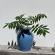 Vase en céramique bleue, 1980