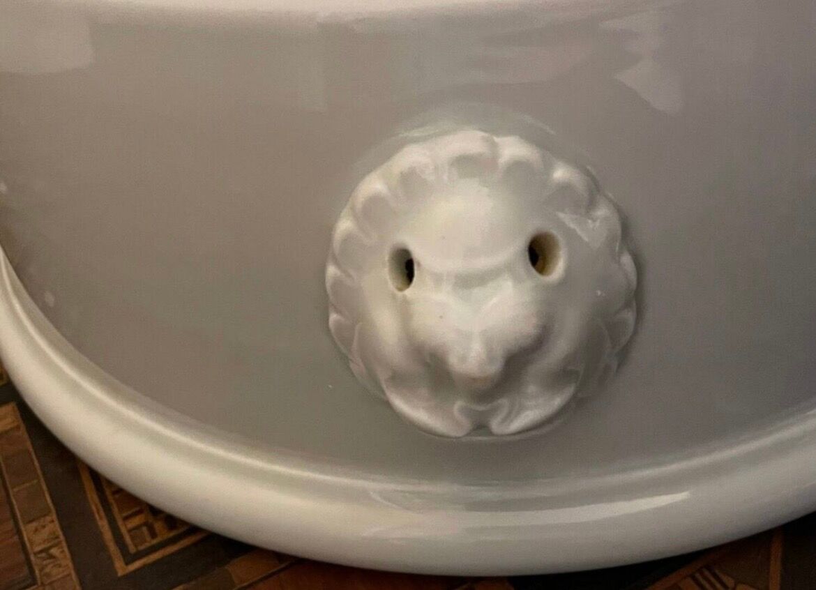 Lion's head salad bowl