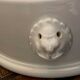 Lion's head salad bowl