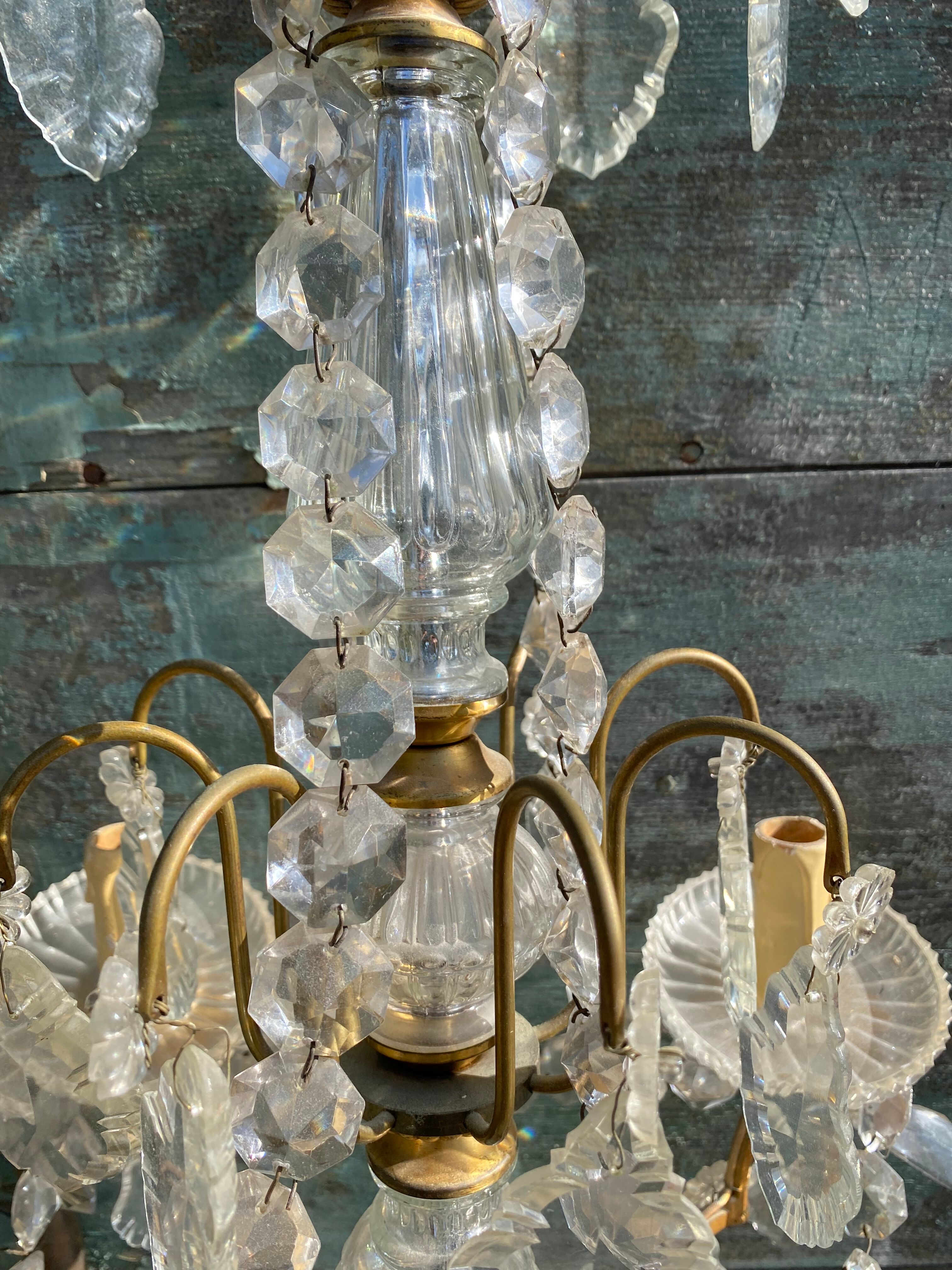 Chandelier with bronze and crystal grapevines