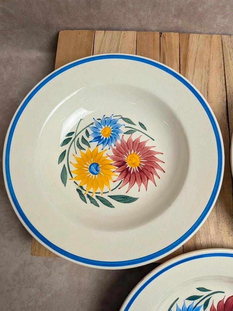 Set of 6 ironstone plates HBC – Rustic Model – Hand-painted floral design