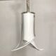 Pair of hanging Fiore by Renato Toso, Leucos Murano 1970