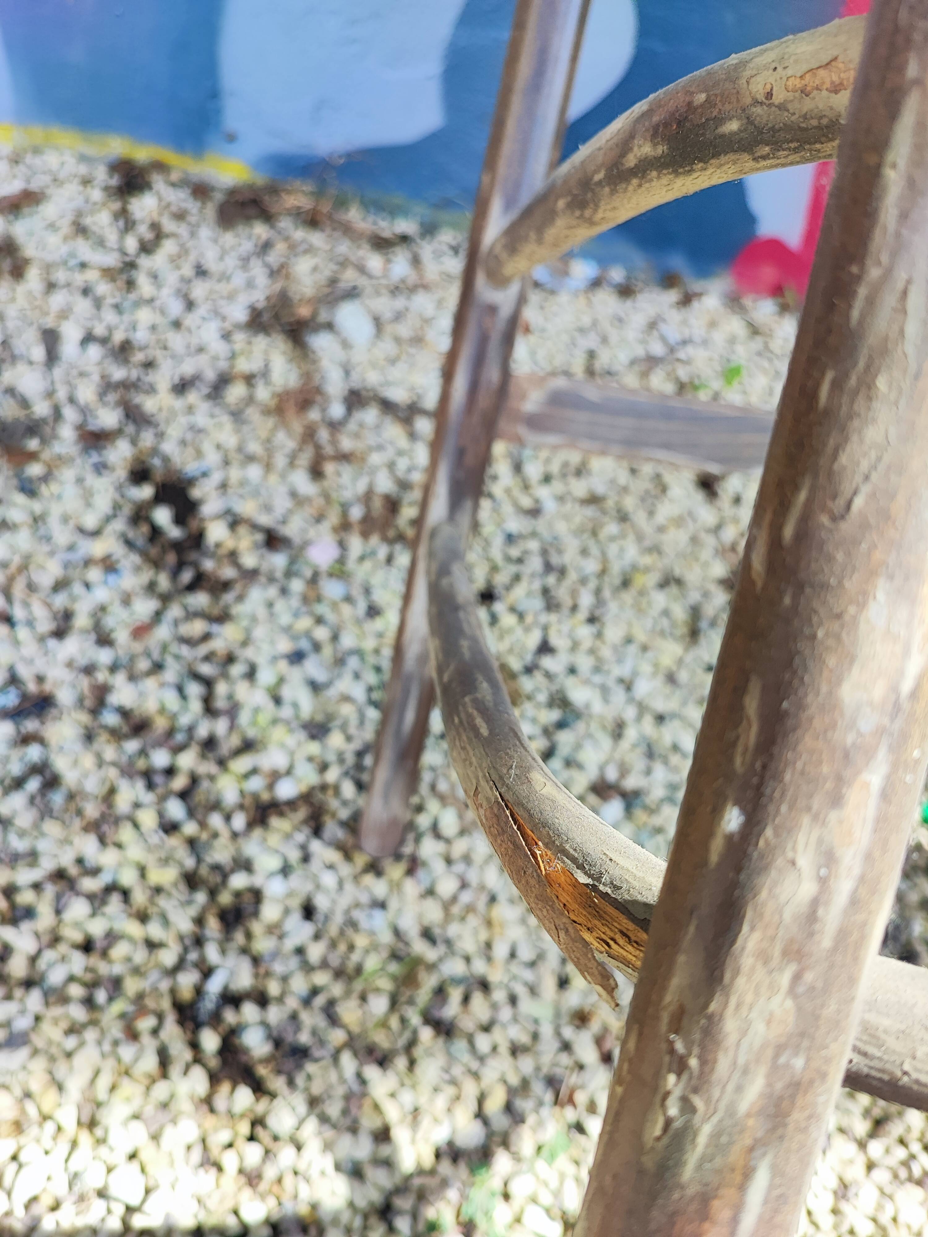 Tabouret de bar en bois courbé