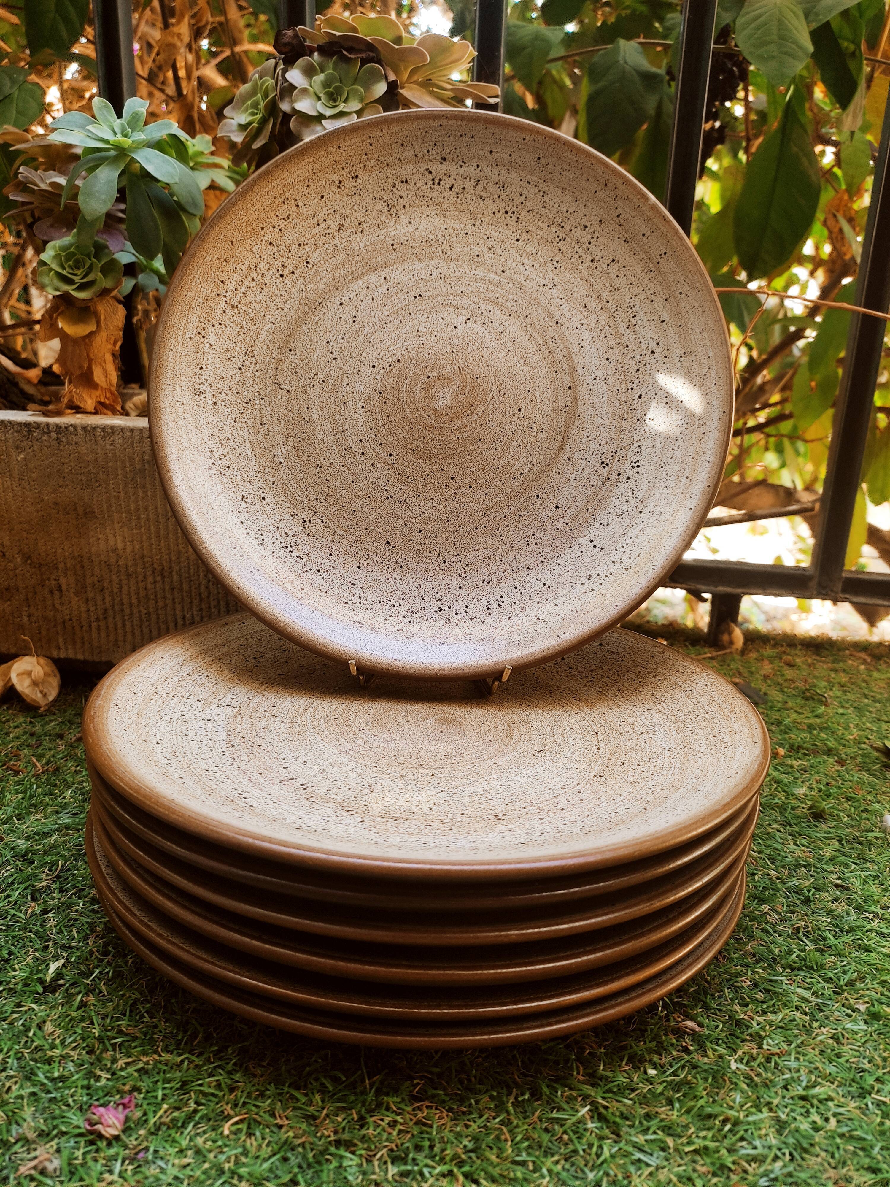 7 ceramic plates by Niderviller model Toledo