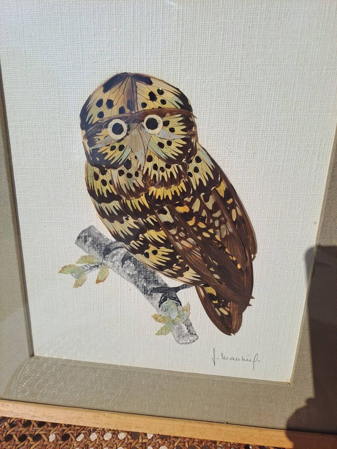 Framed tableau under glass, owl with butterfly wings.