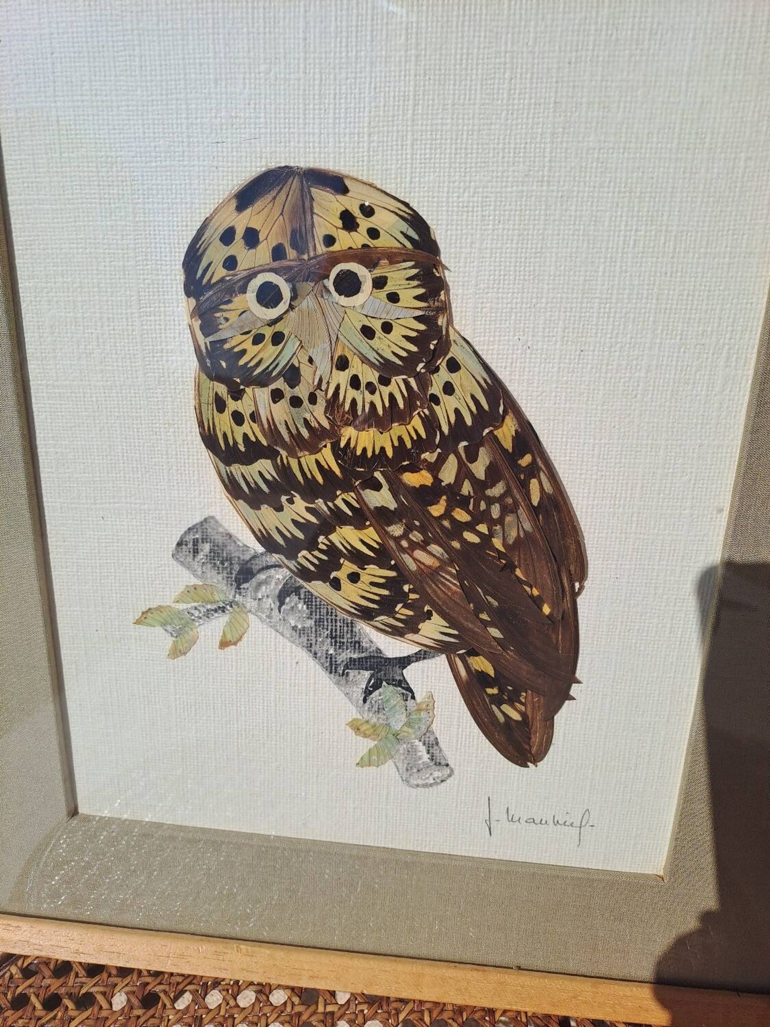 Framed tableau under glass, owl with butterfly wings.