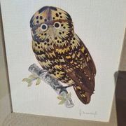 Framed tableau under glass, owl with butterfly wings.