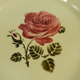 12 assiettes plates Badonviller