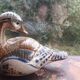 Ceramic signed duck in glazed stoneware, vintage 1960.