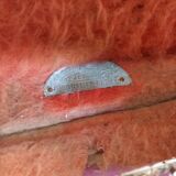 Musical instrument box Thibouville-Lamy 1910s