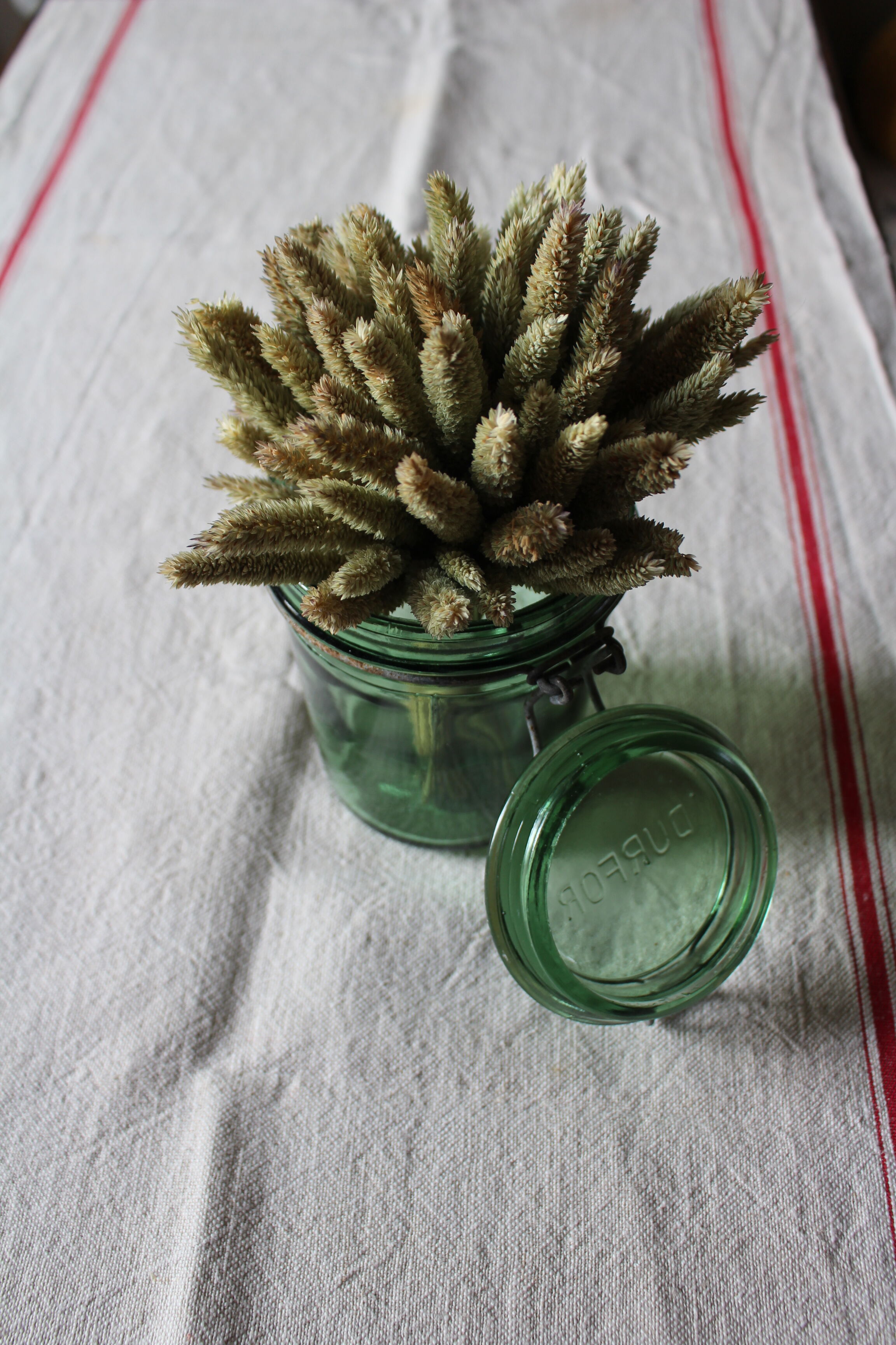 Bocal green glass DurFor