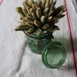 Bocal green glass DurFor