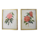 Pair of wall decorations of flowers "camellia"