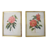 Pair of wall decorations of flowers "camellia"