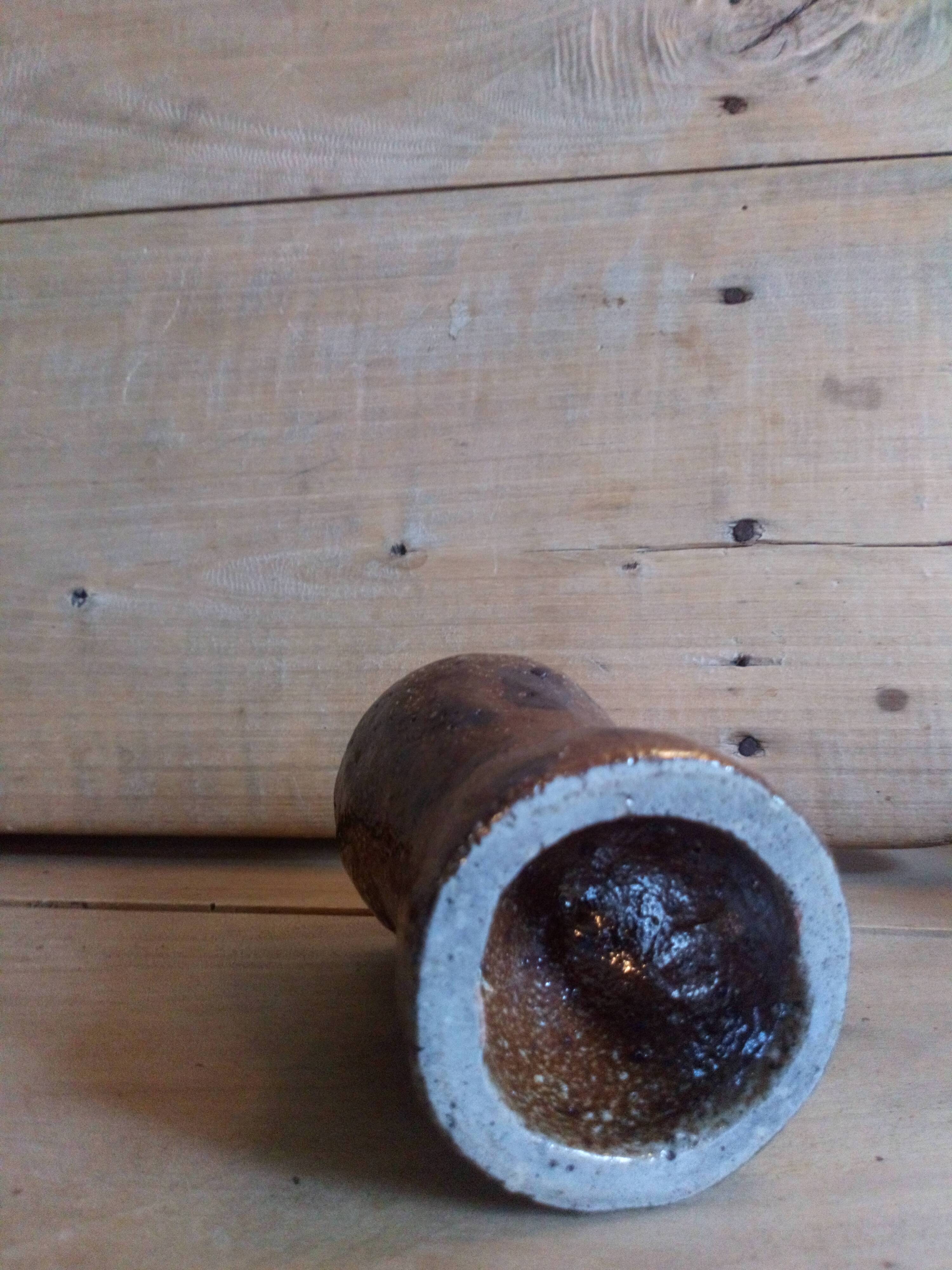 Four popular art cockroaches in heavy