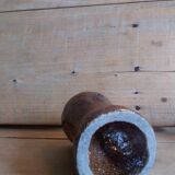 Four popular art cockroaches in heavy