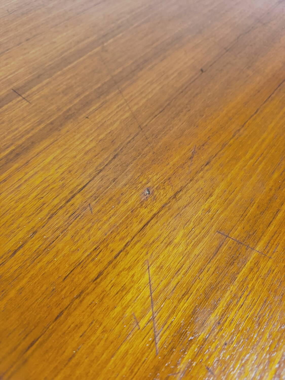 Scandinavian table style circa 1965