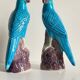 Pair of phenix birds chinese porcelain early 20th century