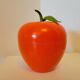 Ice bucket vintage ice cubes 70s orange apple Somm Paris