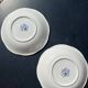 Lot - 2 plates in Gien blue pattern