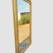 Large antique French gilded mirror with painted floral decoration.
