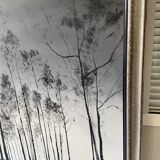 Framed Oil Painting on Canvas by Artist Painter C. M. Ollivierre