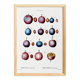 Botanical poster on domestic plum, after an old engraving