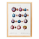 Botanical poster on domestic plum, after an old engraving