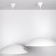 Two Large Pendant Lamps Claus Bonderup and Torsten Thorup 1975 Denmark