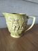 Squirrel jug