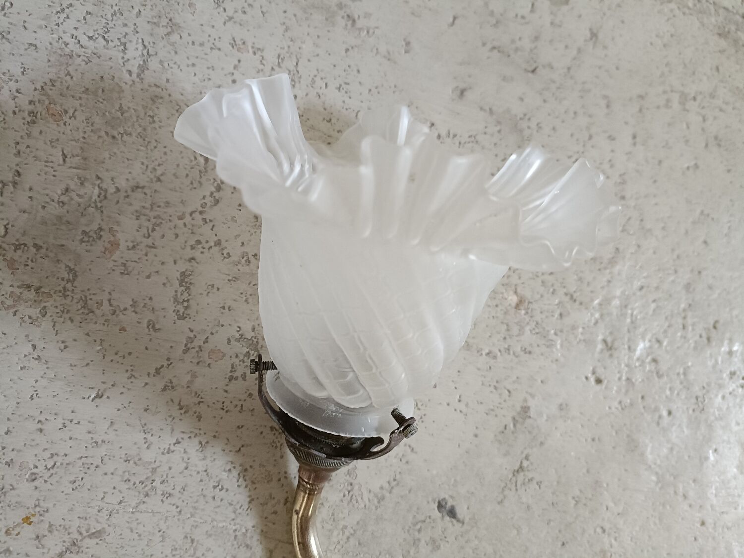 Art Nouveau tulip wall lamp