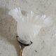 Art Nouveau tulip wall lamp