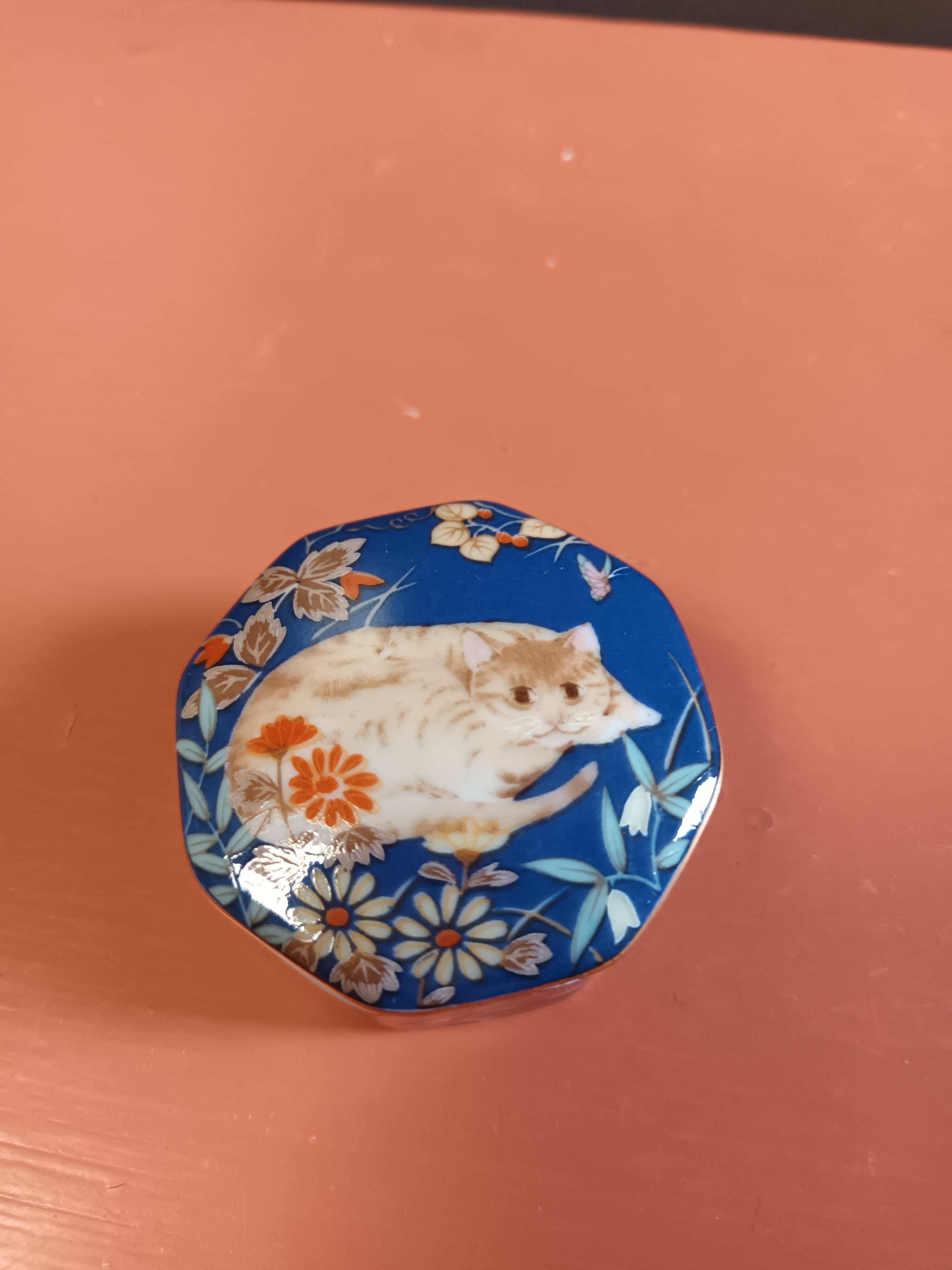 Pill box earthenware decoration cat