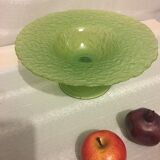Glass cup and dummy fruit
