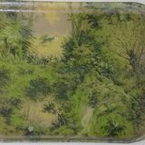 Plateau années 50 scène en forêt