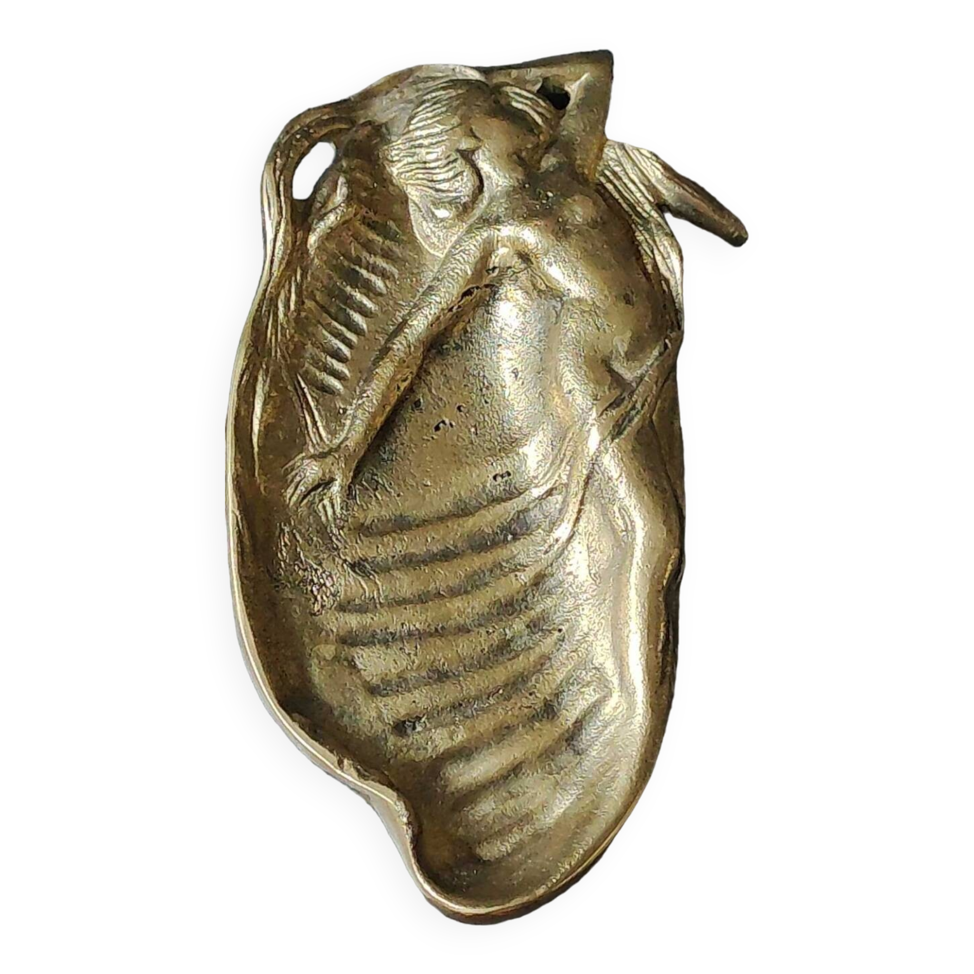 Art Nouveau Empty Pocket/Nude of a Woman/Mermaid on Shell. In gilded patinated bronze. Dim 20 x 10 cm