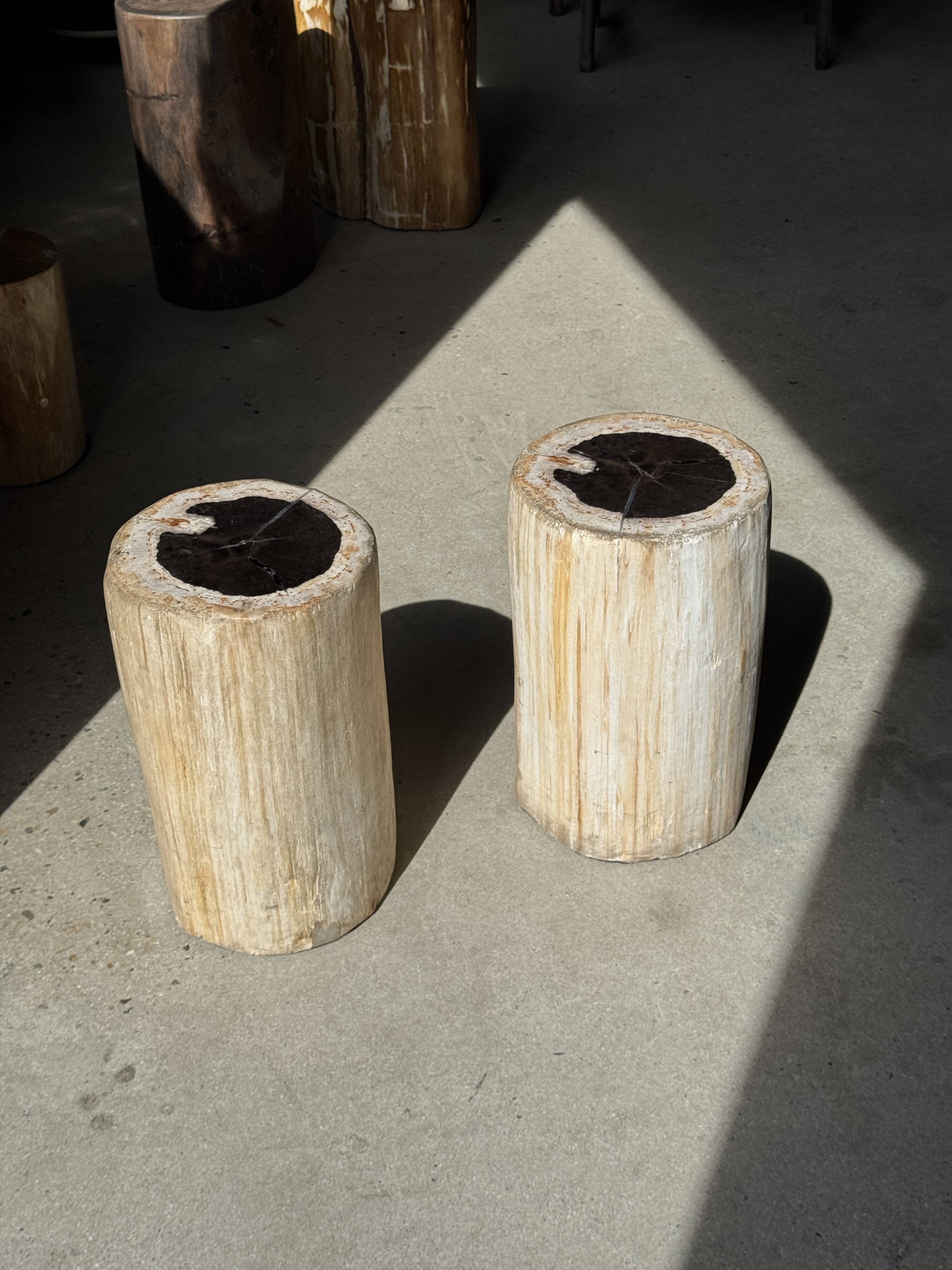 Table d'appoint en bois pétrifié, écorce blanche