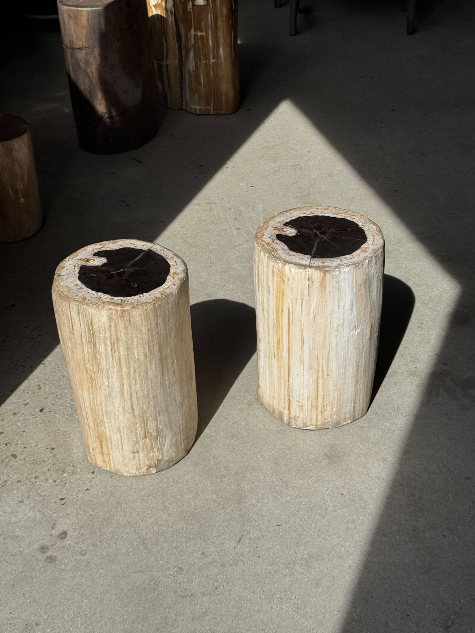 Petrified wood side table, white bark