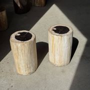 Petrified wood side table, white bark