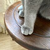 Vintage tripod stool